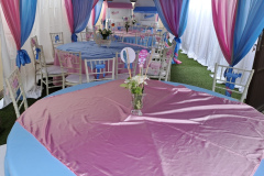 X-BABY-Shower