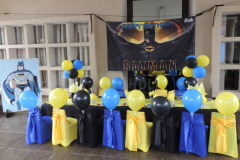 theme-batman-12a-25