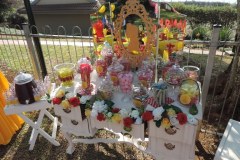 Accessories-candy-sweet-buffet-BEAUTY-and-the-Beast-5