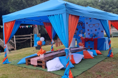 Theme-blippi-maintable-backdrop-2-picnic-Copy