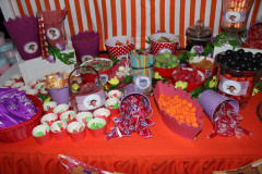 accessories-candy-sweet-buffet-dora2