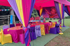 x-fancy-nancy-ab