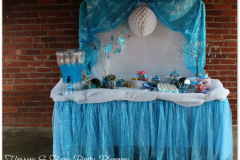 accessories-candy-sweet-buffet-frozena
