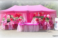theme-hello-kitty-11