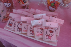 theme-hello-kitty-202