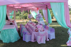 theme-hello-kitty-204