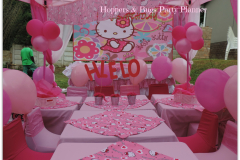 theme-hello-kitty-44
