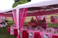 theme-hello-kitty-47