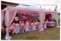 theme-hello-kitty-60-2