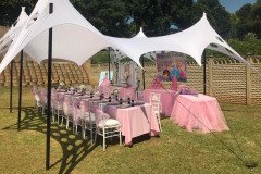 theme-princess-high-tea-1