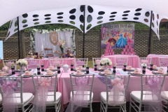 theme-princess-high-tea-2