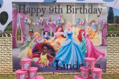 theme-princess-high-tea-6