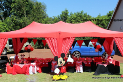 theme-mickey-108