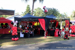 theme-minnie-156