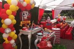 paw patrol