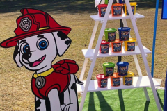 Theme-paw-6m