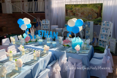 Theme-peter-rabbit-1a