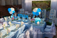 Theme-peter-rabbit-8a