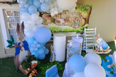 x-peter-rabbit-maintable-backdrop-10ab