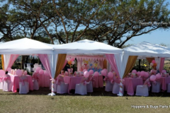 theme-princess-182