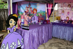 theme-sofia-104