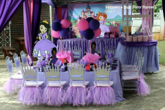 theme-sofia-113