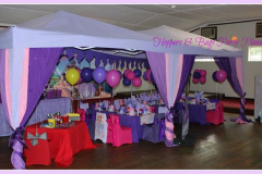 theme-sofia-118