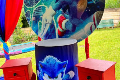 Sonic the Hedgehog