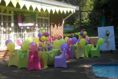 theme-tinkerbell-5