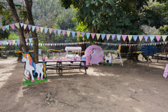 theme-unicorn-rustic-1b