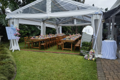 wedding-2d