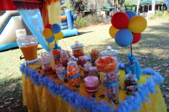 theme-winnie-the-pooh-2ae