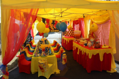 theme-winnie-the-pooh-43a
